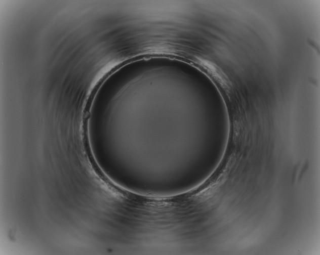 X0000091481331200708231352