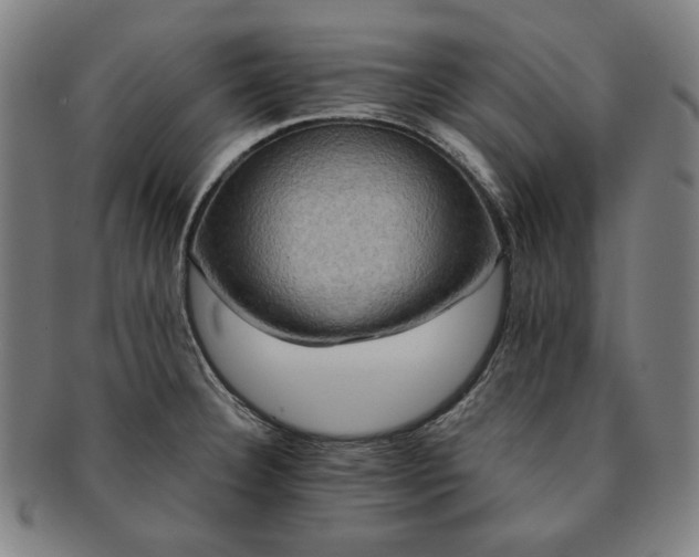 X0000091481332200708231352