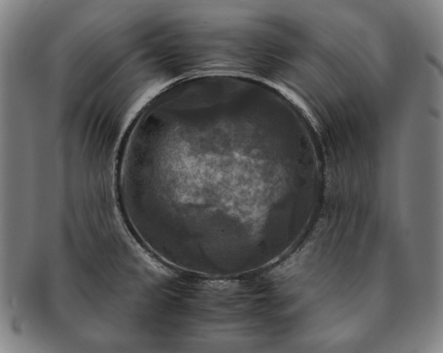 X0000091481333200708231352