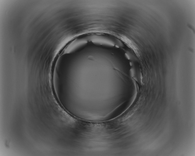 X0000091481334200708231352