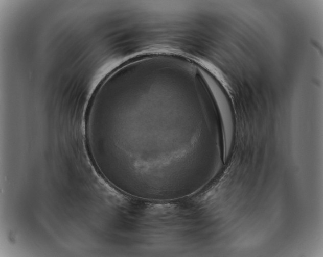 X0000091481335200708231352