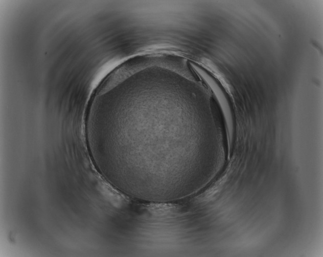 X0000091481336200708231352