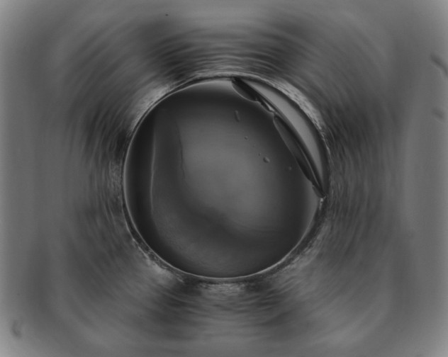 X0000091481337200708231352