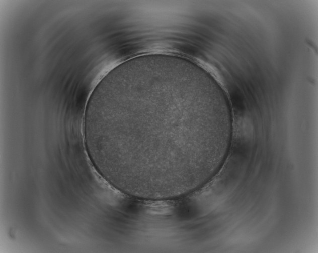 X0000091481338200708231352