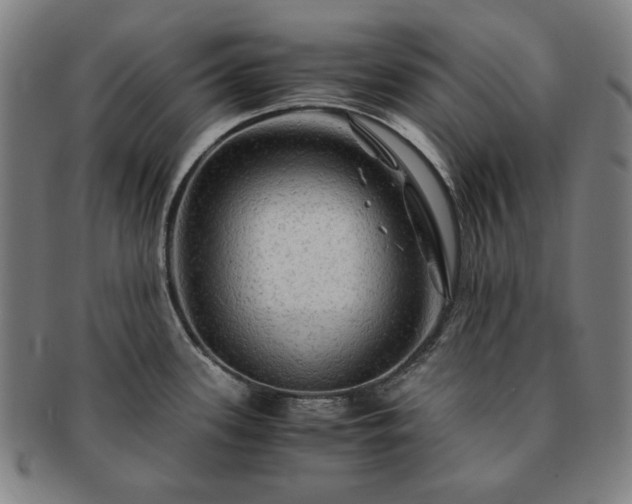 X0000091481339200708231352