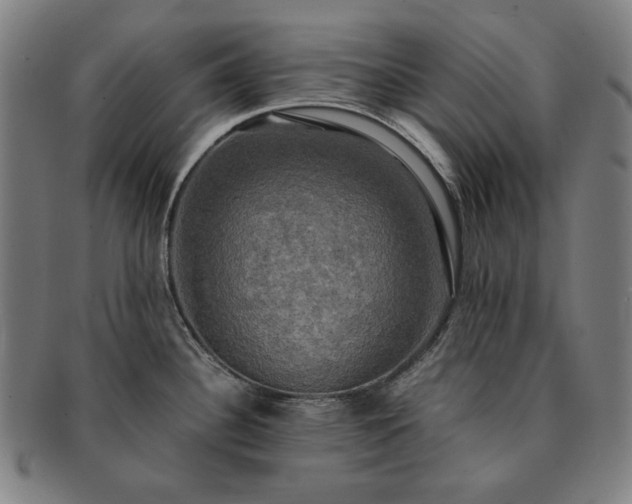 X0000091481340200708231352