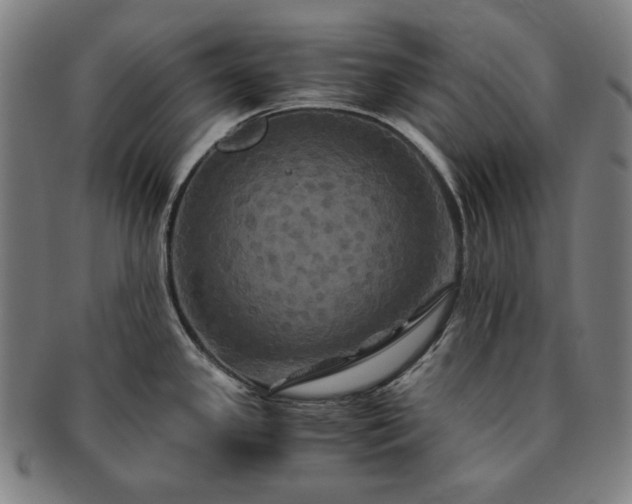 X0000091481341200708231352