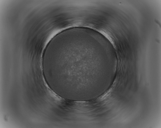 X0000091481342200708231352