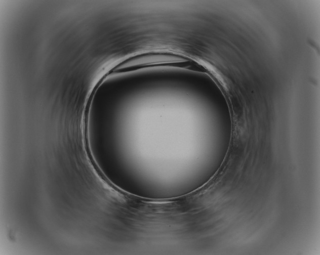 X0000091481343200708231352