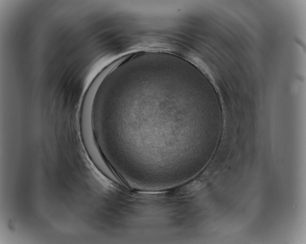 X0000091481344200708231352