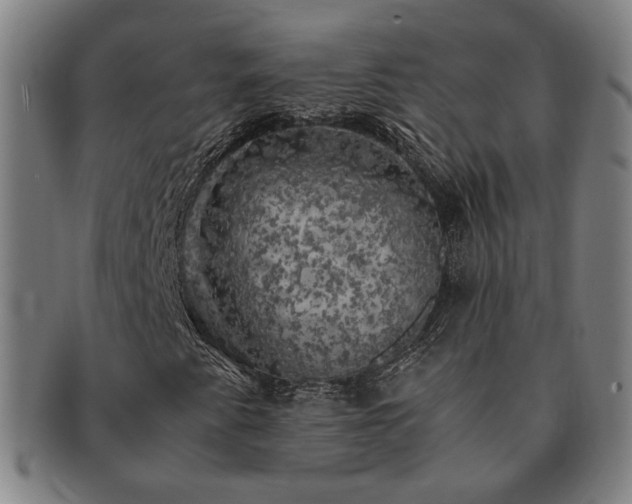 X0000091481345200708231351