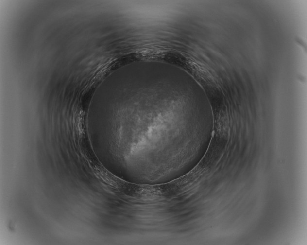 X0000091481346200708231351