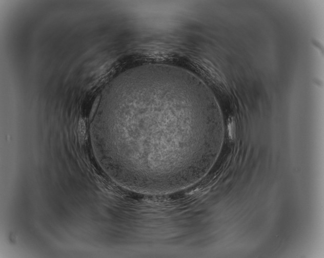 X0000091481347200708231351