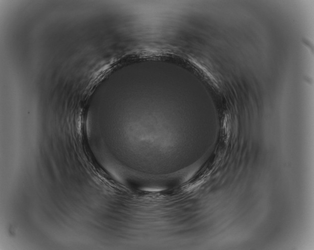 X0000091481348200708231351