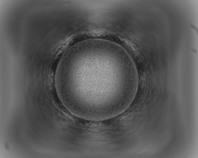 X0000091481349200708231351