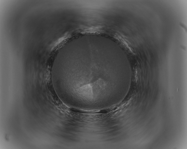 X0000091481350200708231351