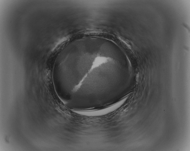 X0000091481351200708231351