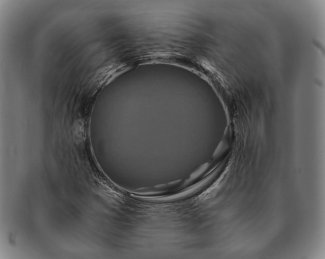 X0000091481353200708231351