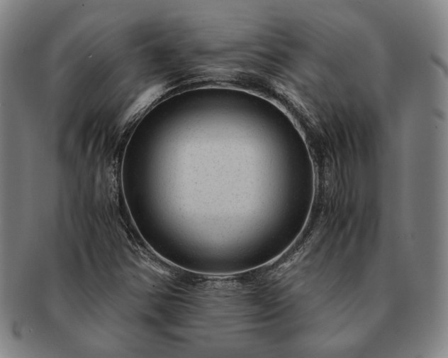 X0000091481354200708231351