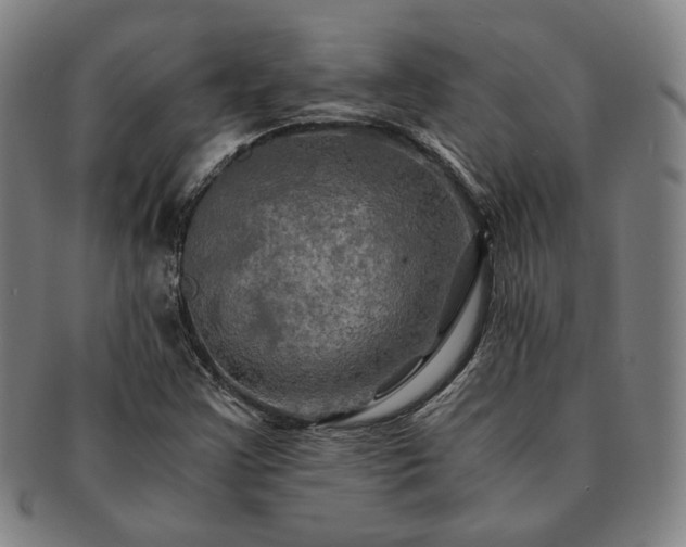 X0000091481355200708231351