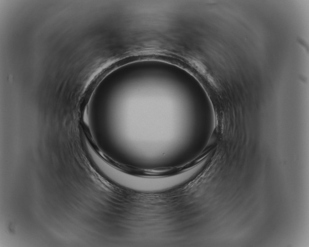 X0000091481356200708231351