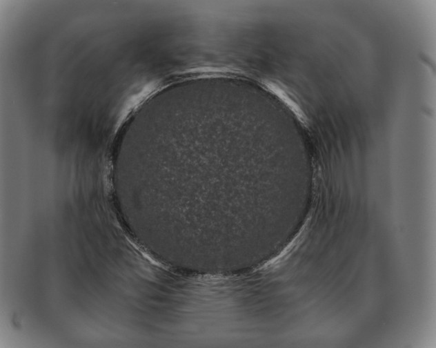 X0000091481357200708231351