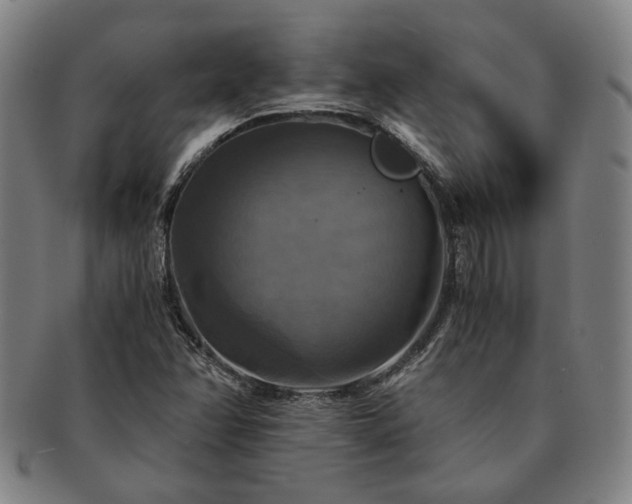 X0000091481358200708231351