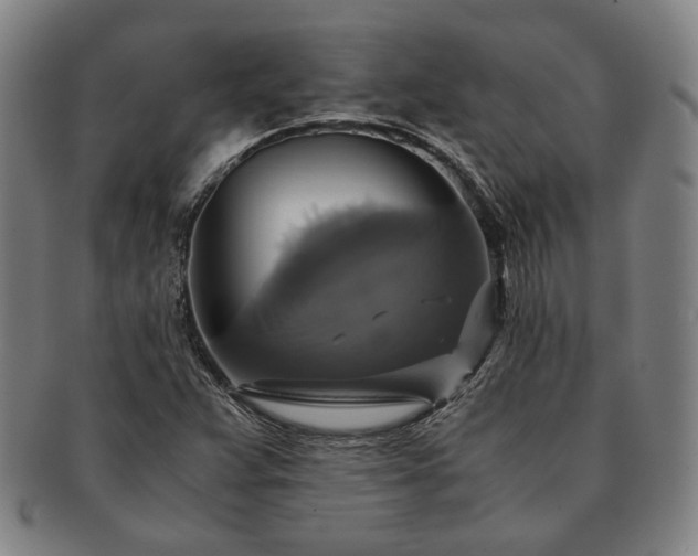 X0000091481359200708231351