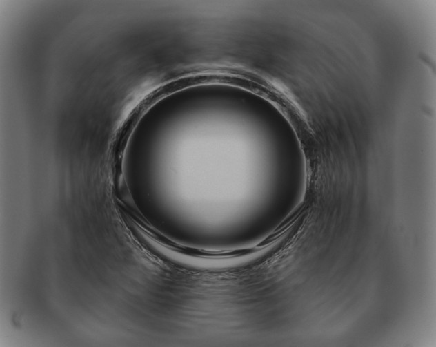 X0000091481360200708231351