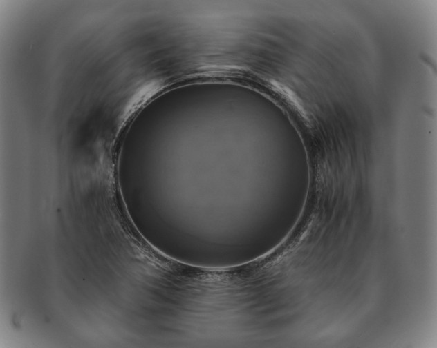 X0000091481362200708231351