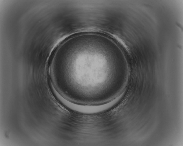 X0000091481364200708231351