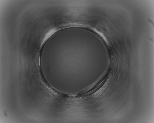 X0000091481365200708231351