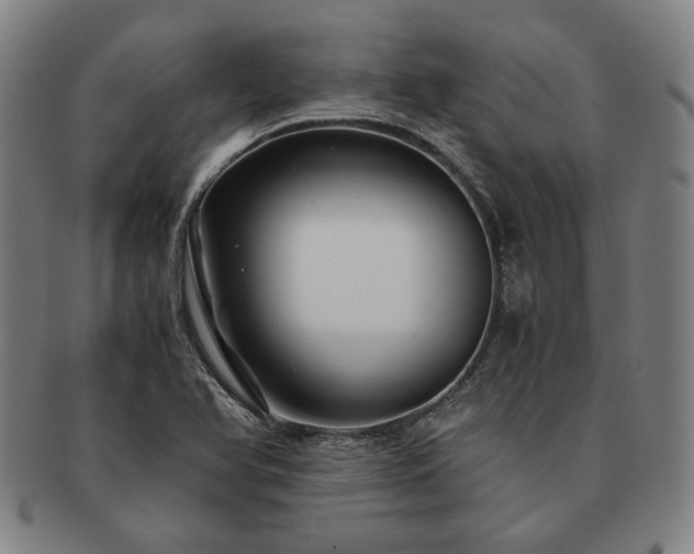 X0000091481366200708231351