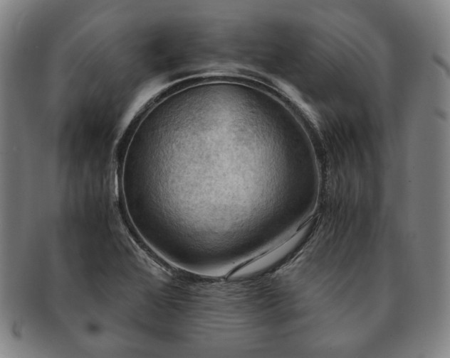 X0000091481368200708231351