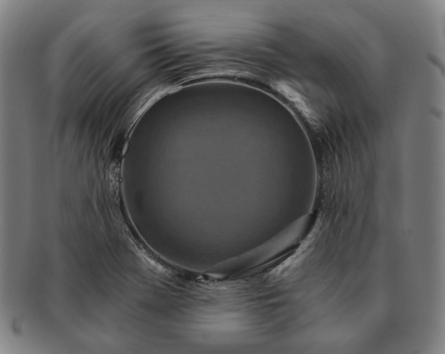 X0000091481369200708231351