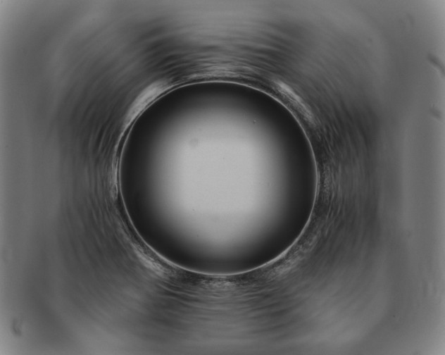 X0000091481370200708231351