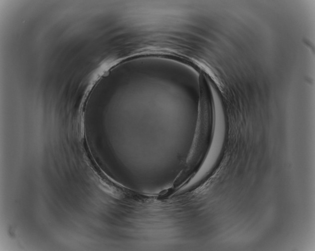 X0000091481371200708231351