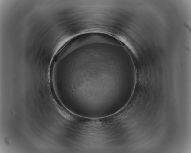 X0000091481372200708231351