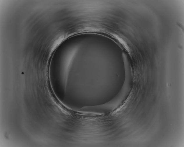 X0000091481373200708231351