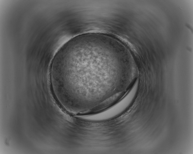 X0000091481375200708231351