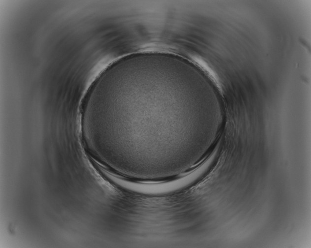 X0000091481376200708231351