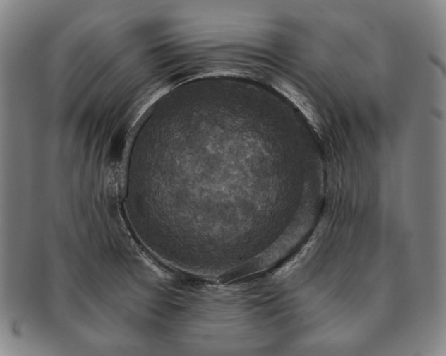 X0000091481377200708231351