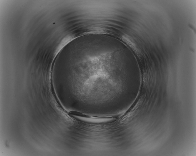 X0000091481378200708231351