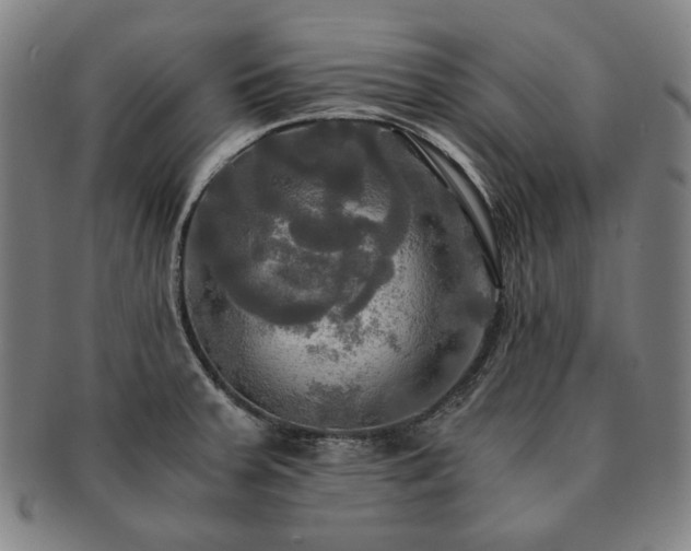 X0000091481379200708231351