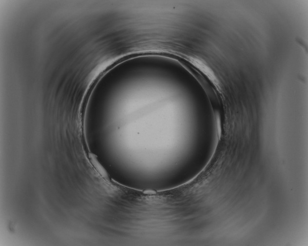 X0000091481380200708231351