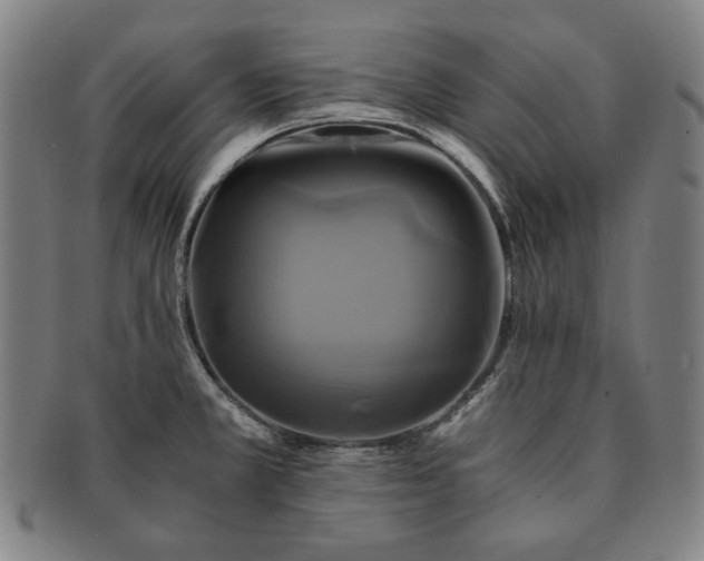 X0000091481381200708231351