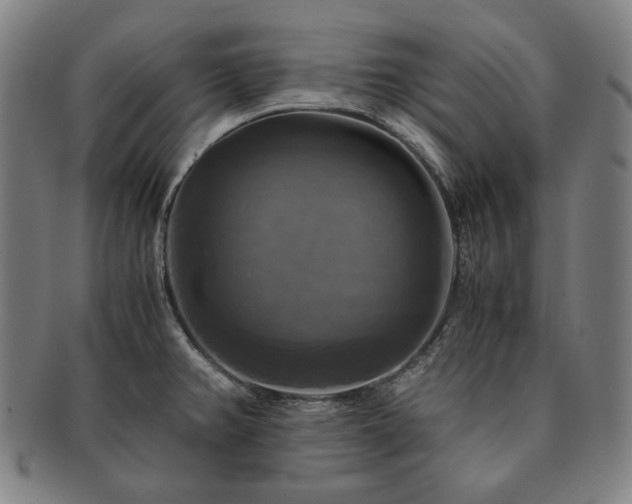 X0000091481382200708231351