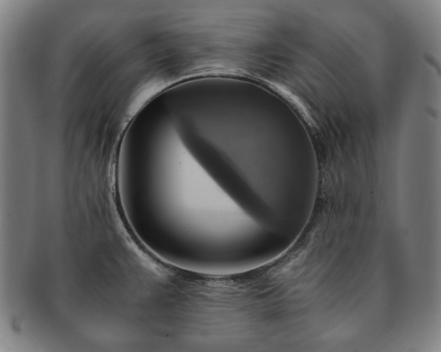 X0000091481383200708231351