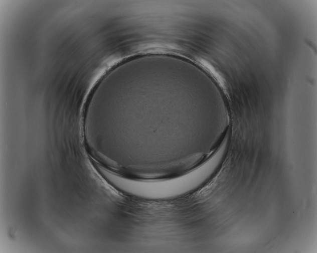 X0000091481384200708231351