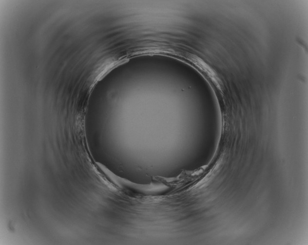 X0000091481385200708231351